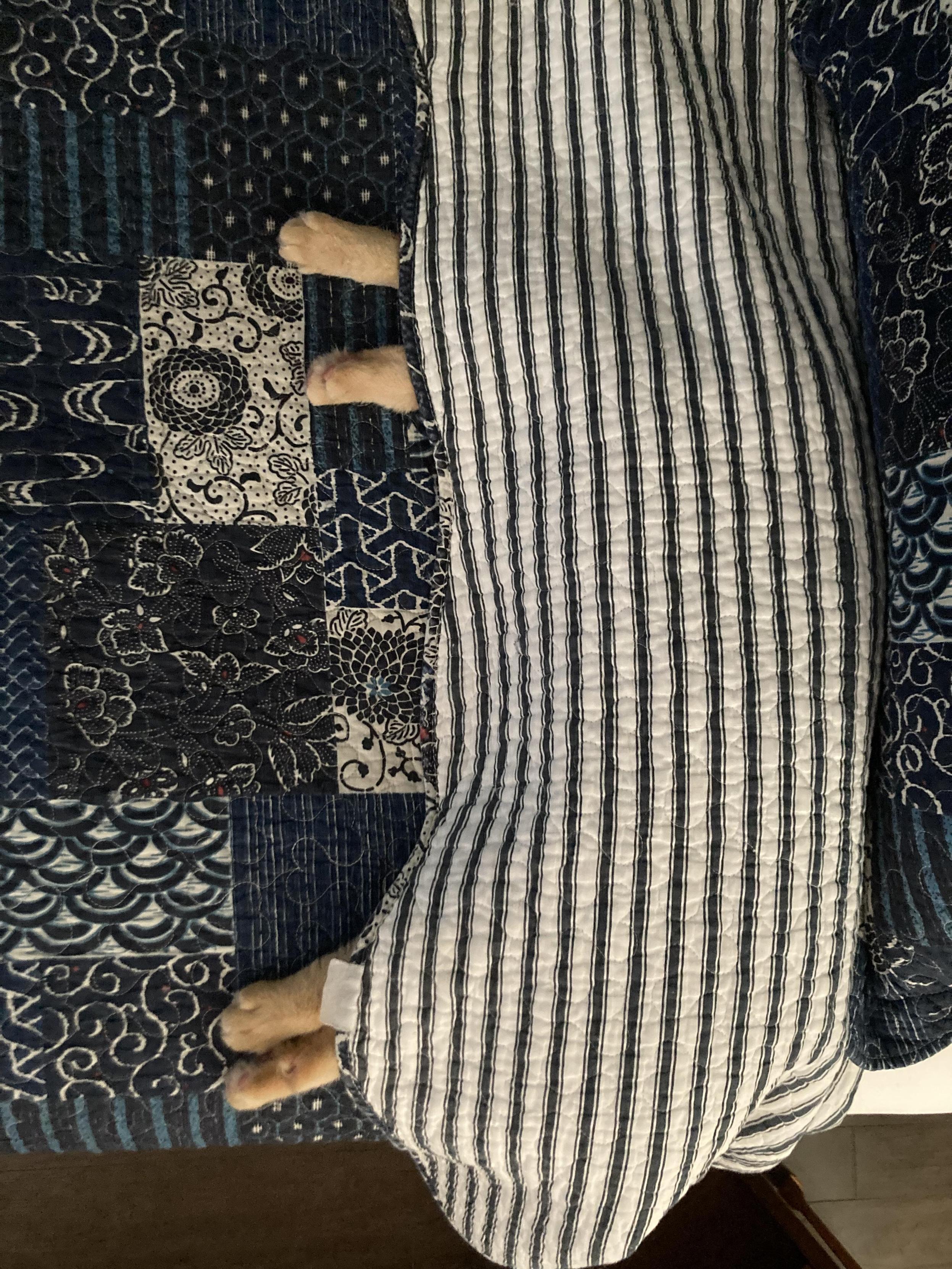An orange tabby cat, sleeping under a blanket, viewed from above. Her feet are sticking out from under the blanket and the only part of her that is visible.